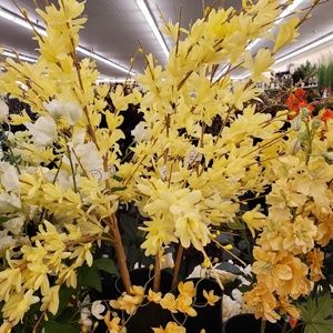 Meet your Posher, Curtis